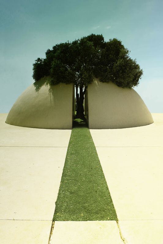 природа, пейзаж, город, красота, деревья, солнце Древо познанияphoto preview