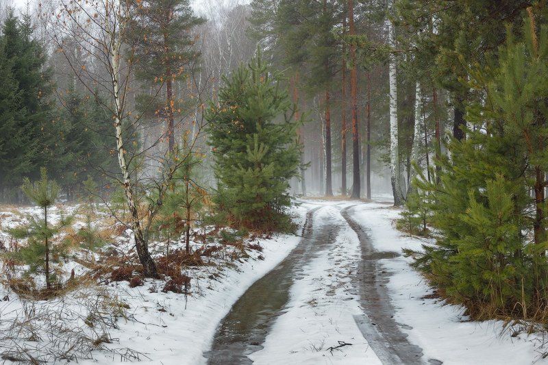 Оттепельphoto preview