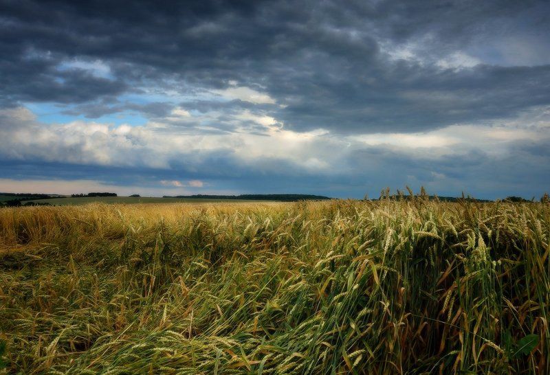 В грозуphoto preview