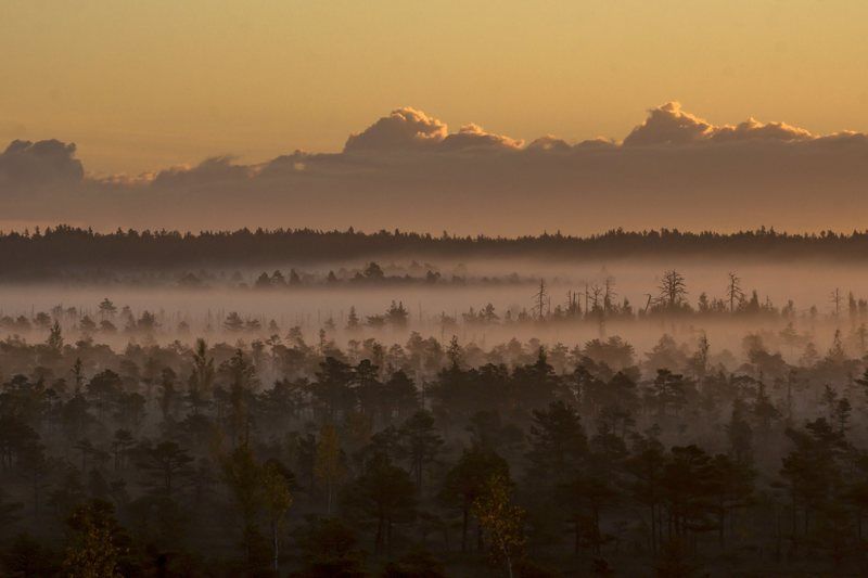 Irina, Latvia