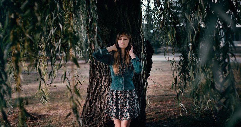 girl, portrait, портрет, девушка, природа, ива, дерево, лицо ***photo preview