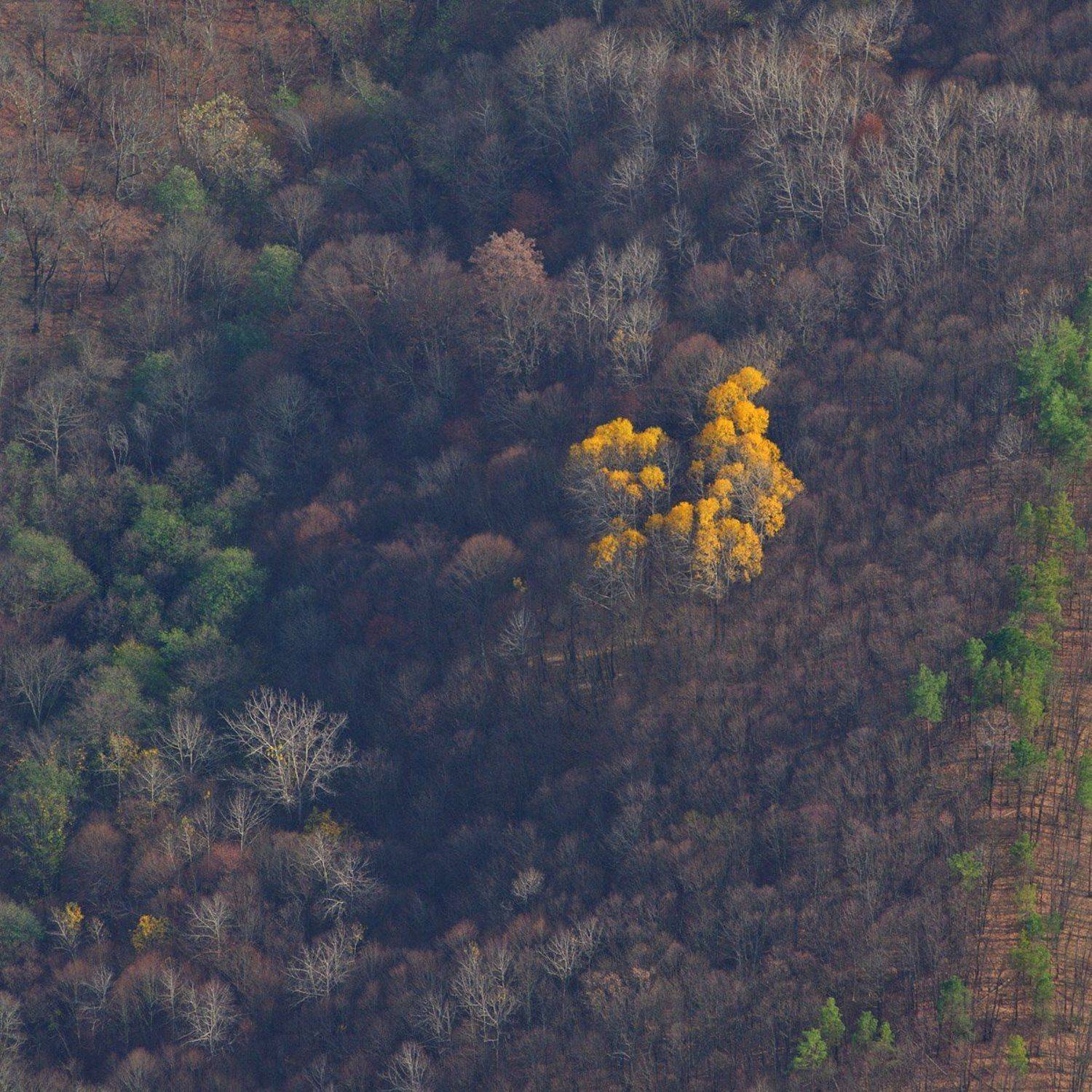 , Сидоренко Алексей