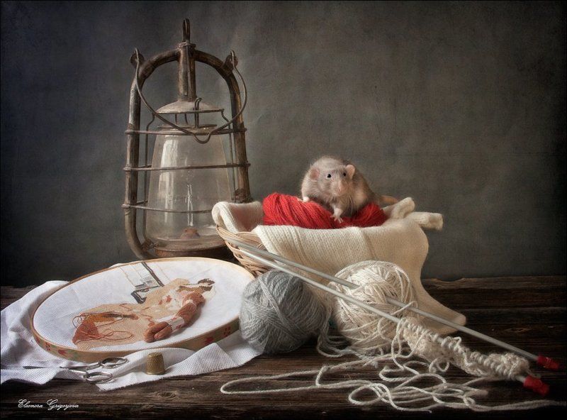 бублики, дамбо, корзина, кот, кошка, крыса, натюркотики, обед, прялка, рукоделие, трапеза, хлеб, чай Приключения Фредди продолжаютсяphoto preview