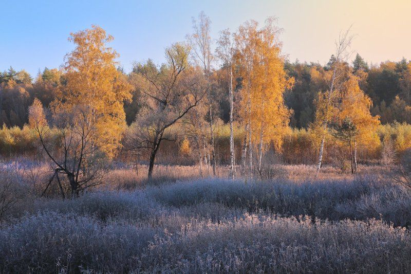 осень, подмосковье, природа, солнце, утро Осеннее утроphoto preview