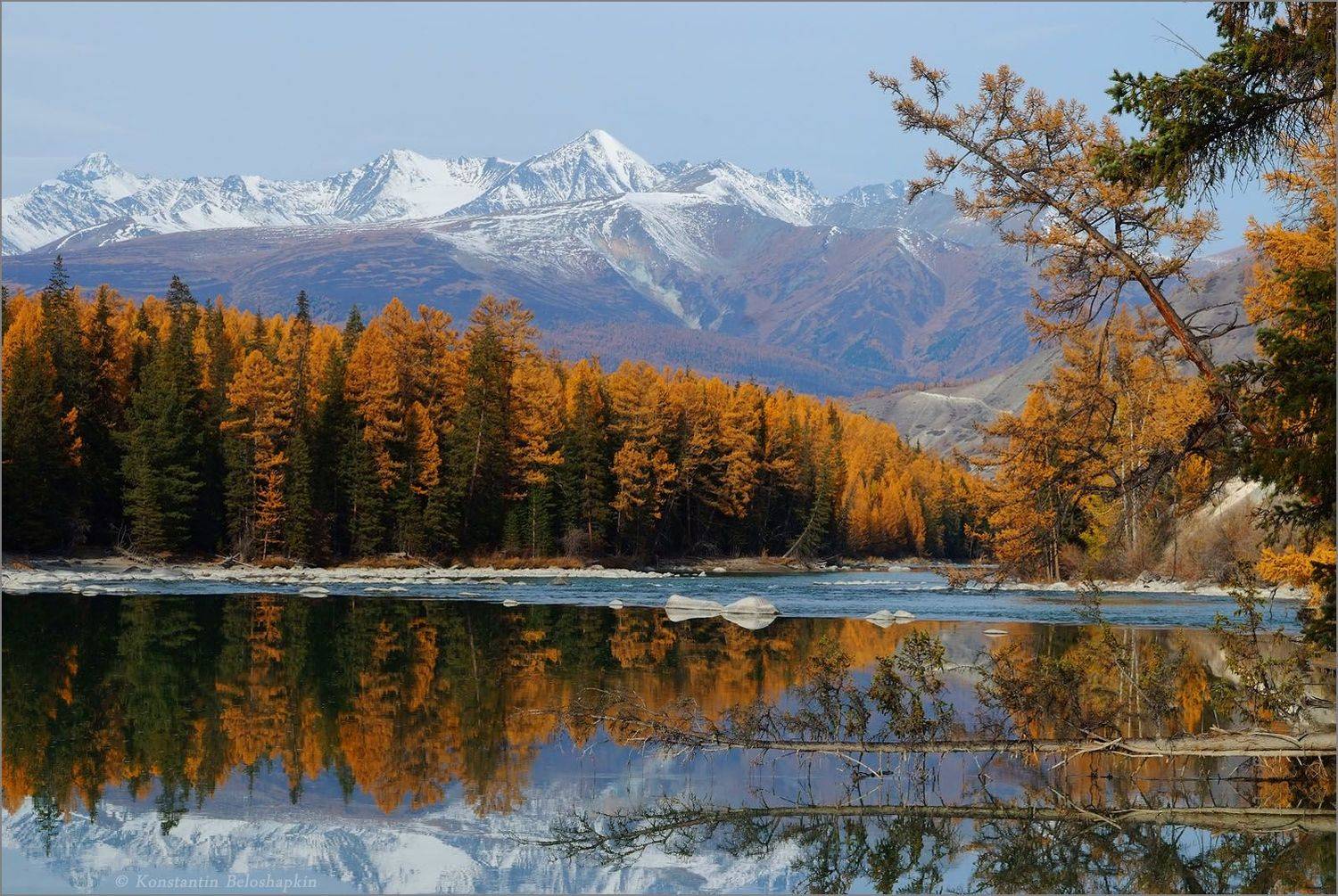 алтай, аргут, осень, река, шенелю, тьюмайнак, Константин Белошапкин