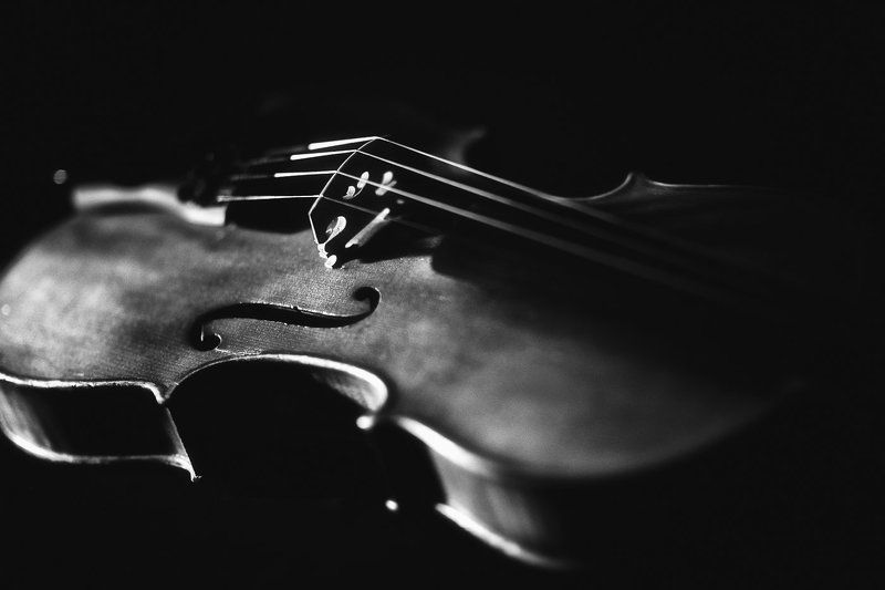 Скрипка, Чб strings of the soul..photo preview