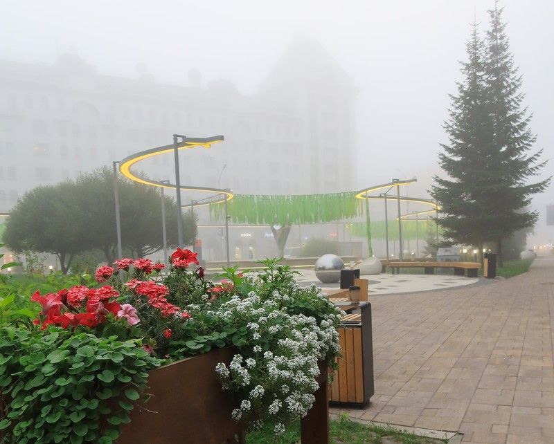 лето,туман,сквер,лето,утро,новосибирск Туман в сквереphoto preview