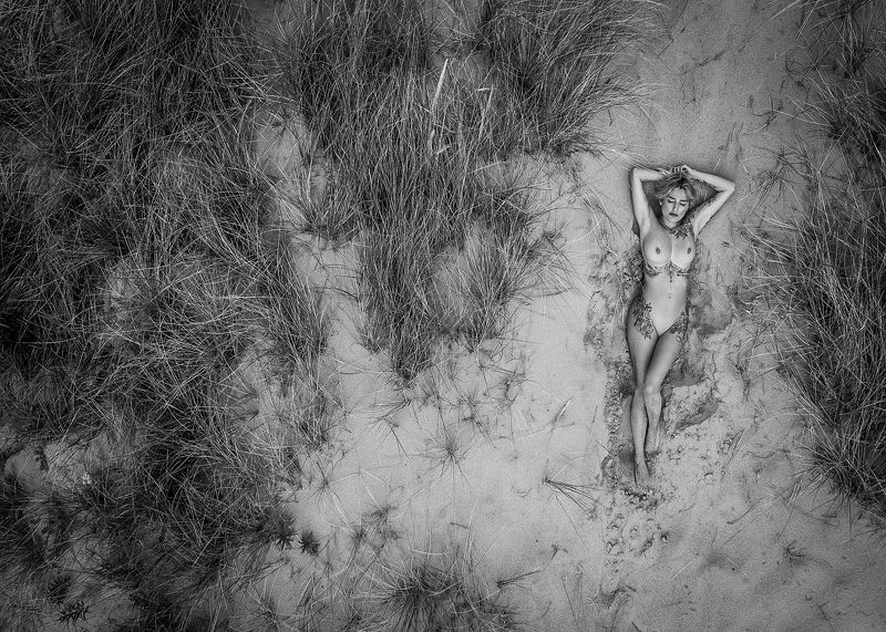 as the crow fliesphoto preview