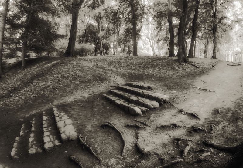 В старом парке.photo preview