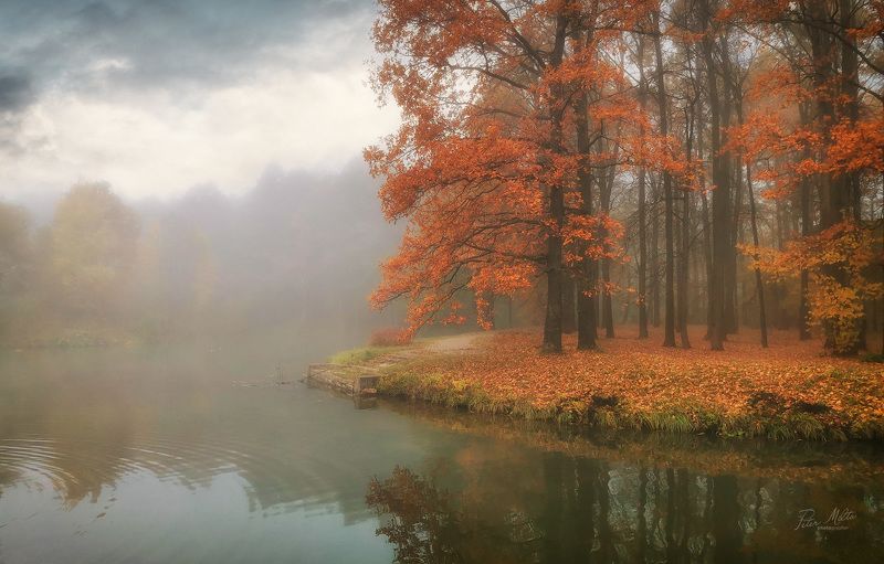 Осеньphoto preview