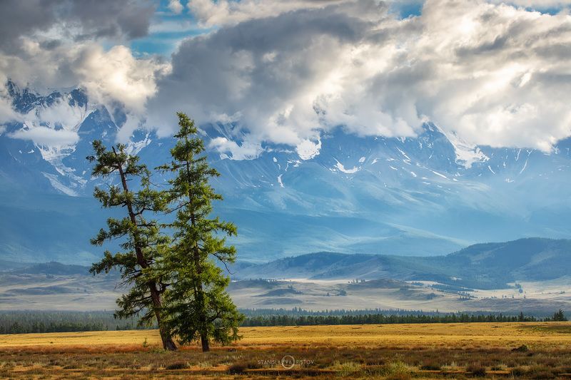 Где-то на Алтаеphoto preview