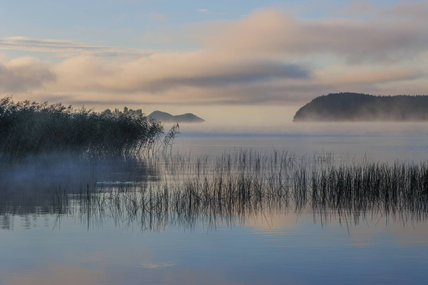озеро, туман, рассвет, облако, Светлана Холодняк