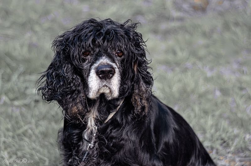 Жду...photo preview