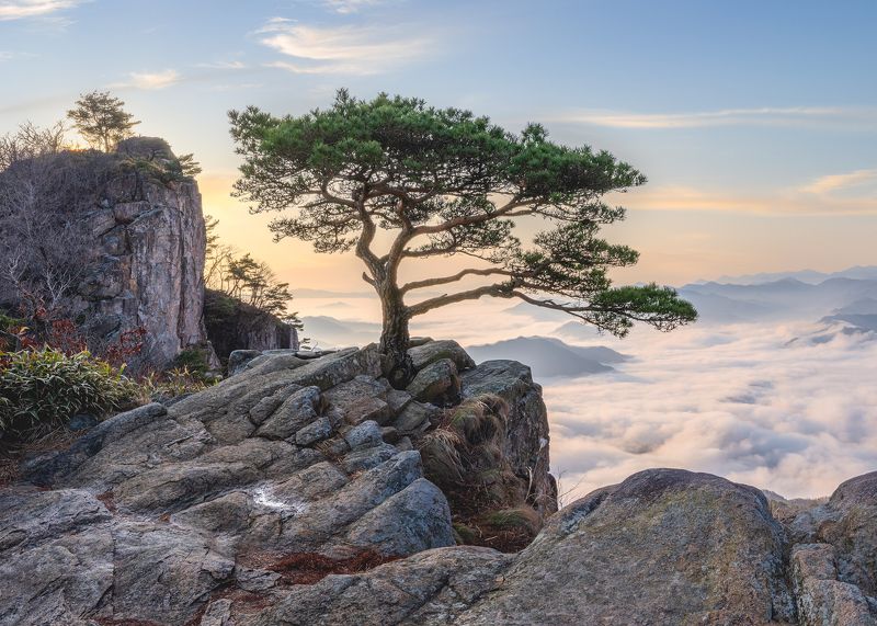 Lonely summitphoto preview