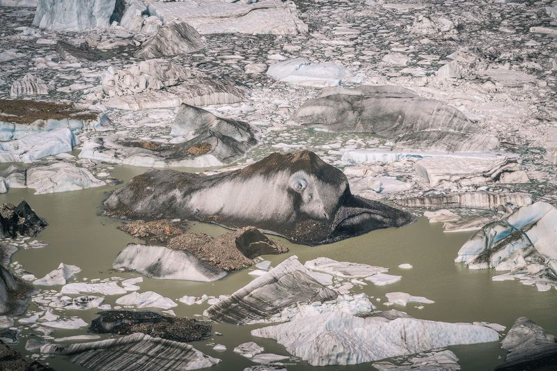 ледник, торре, Патагония, аргентина Дельфинphoto preview