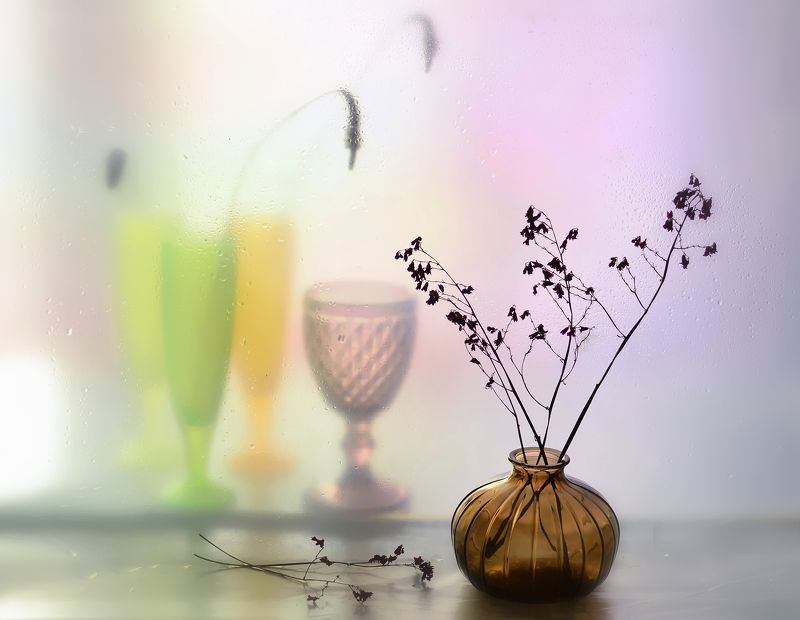 стекло,свет,сухоцвет ***photo preview