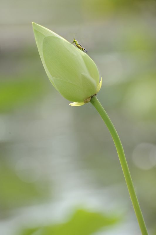 Untitledphoto preview