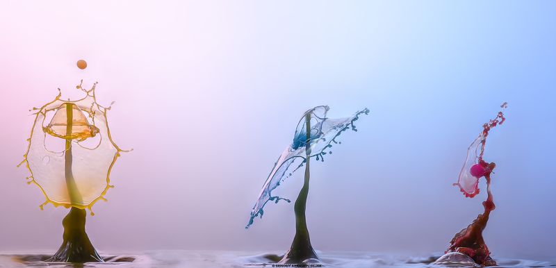 #color_image, #color, #drop, #liqiud, #macro, #water, #macrophoto Color drops фото превью