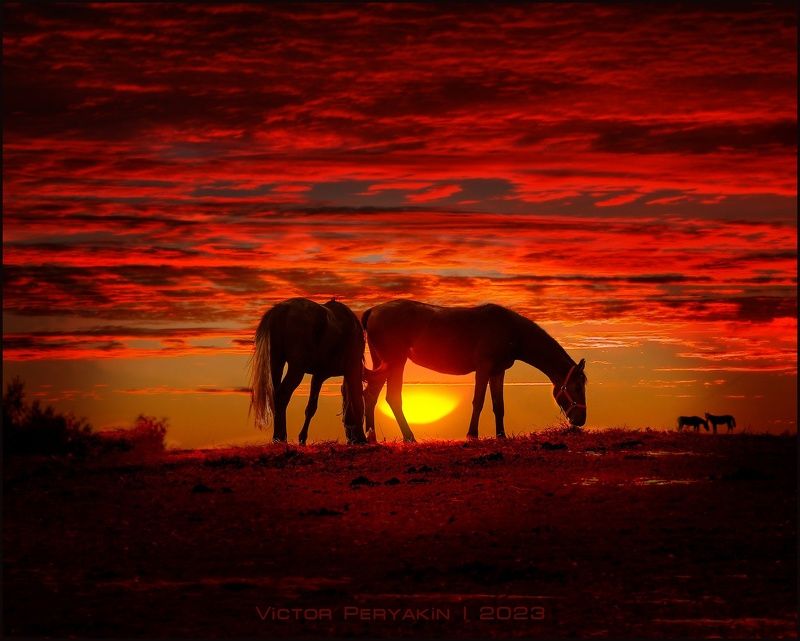 Последний вечер летаphoto preview