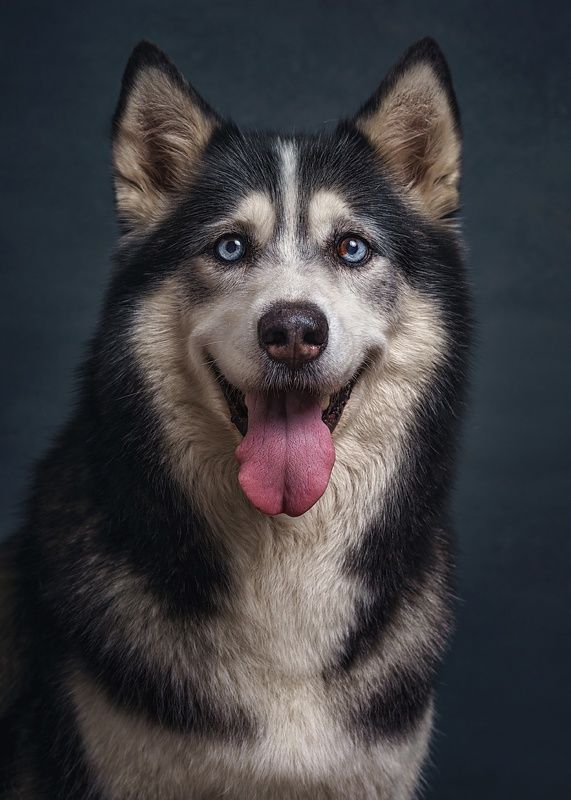 Арчиphoto preview