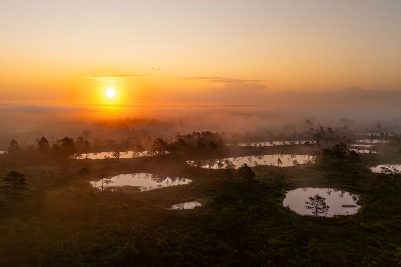 Болото в 5 утраphoto preview