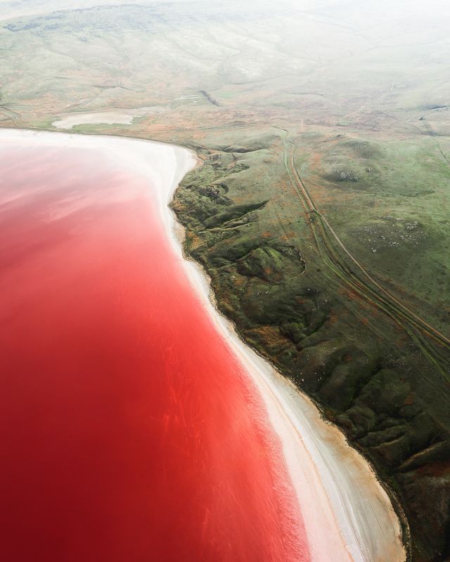 Вишневый пудинг фото превью