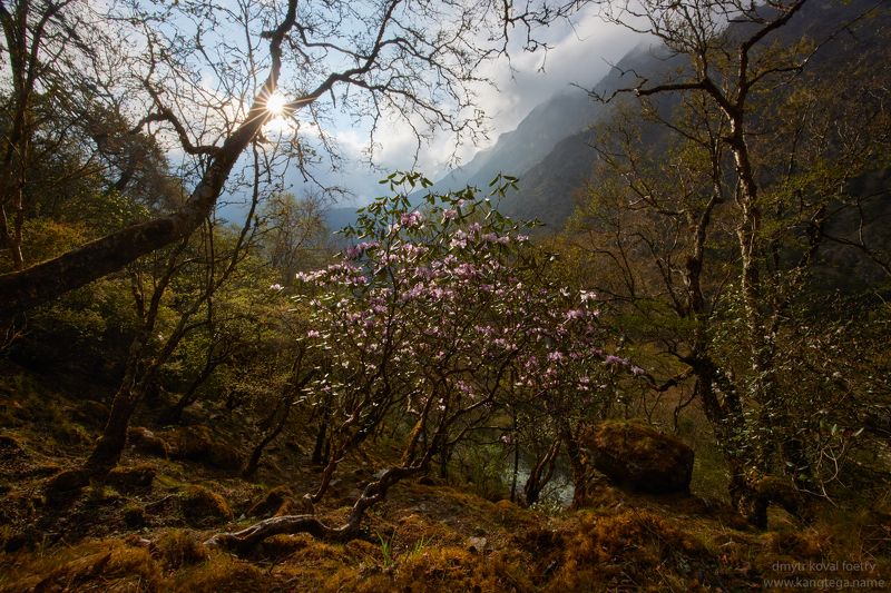 пейзажемагьё, пейзаж-как-виденье Встреча с Чудесным …photo preview