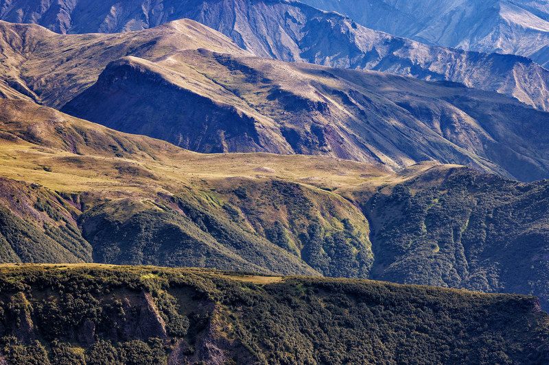 камчатка, долина Камчатские зарисовки фото превью