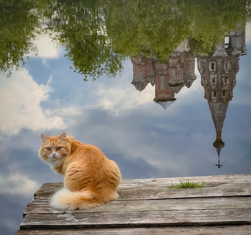 Всякое дыхание да хвалит Господа photo preview