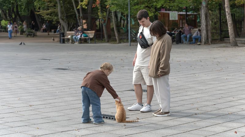 Кот.photo preview