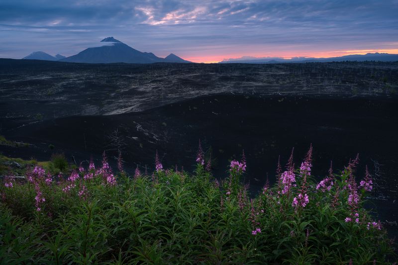 Камчатские контрастыphoto preview