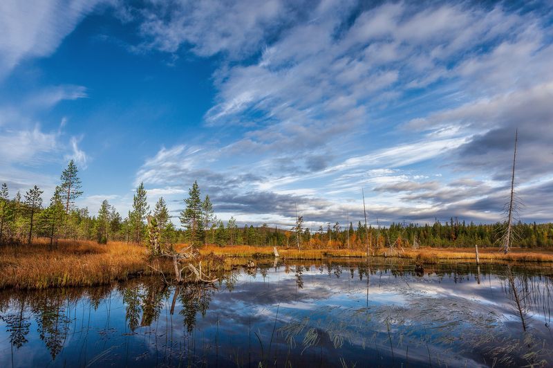 Осенняя меланхолияphoto preview