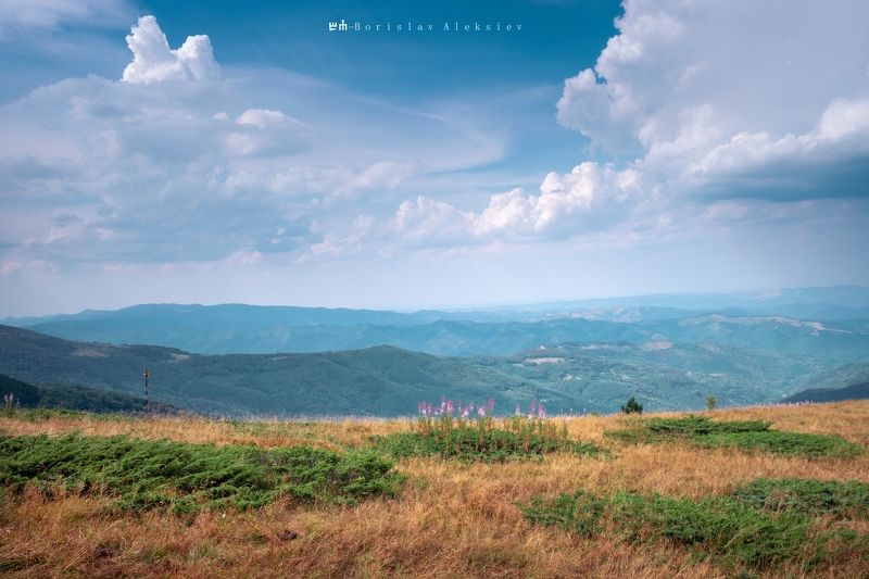 българия,bulgaria,стара планина,balkan mountains,travel,exterior,light,blue,sky,flowers,relax, Стара планина - Balkan Mountains фото превью