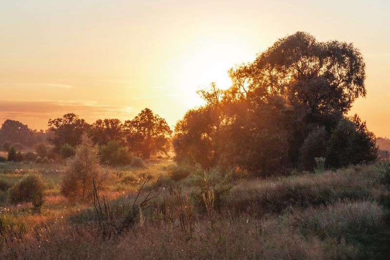 Владимир, природа России Золотой часphoto preview