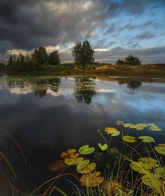 пейзаж, кострома, костромская область Осеннее небоphoto preview