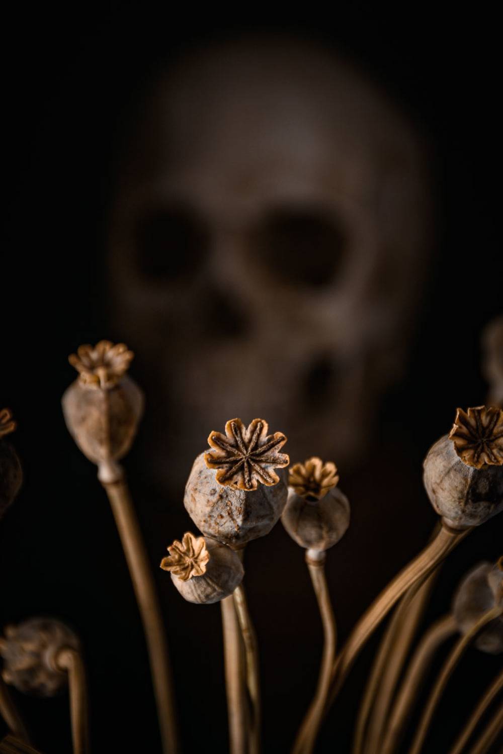 Удовольствие и расплата. Автор: Мезенцев Александр , Мезенцев Александр