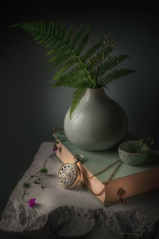 папоротник, часы, ваза, книга photo preview