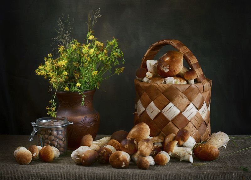 Грибной урожайphoto preview