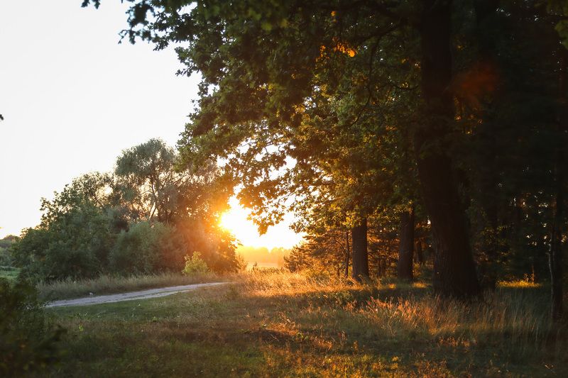 Владимир, природа России Летний вечерphoto preview