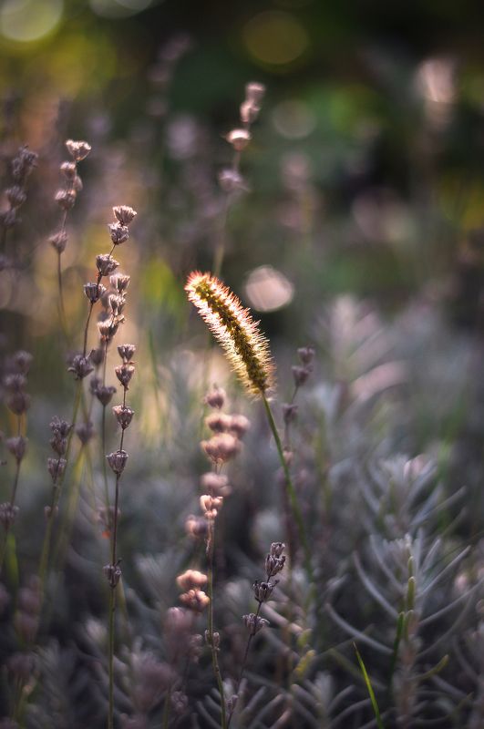 Мгновение утраphoto preview