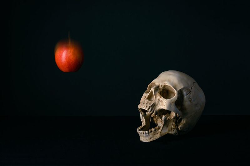 Остановись, Ева!photo preview