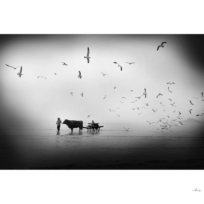 추억 추억속으로photo preview