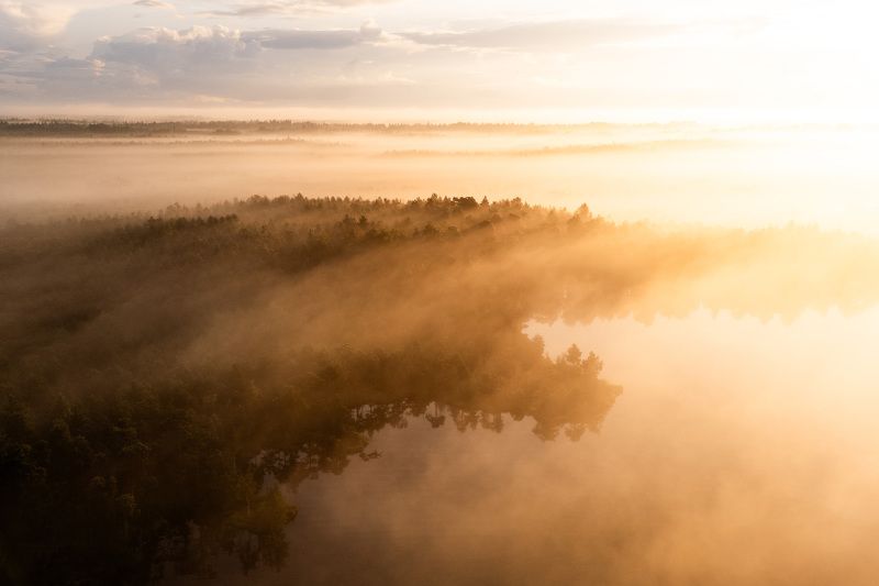 эстония, болото, утро, туман Туманное утроphoto preview