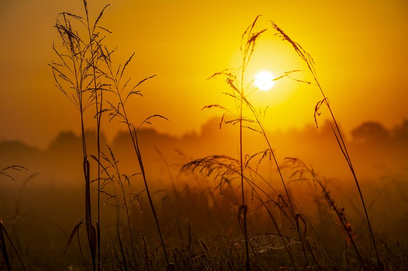 Тишинаphoto preview