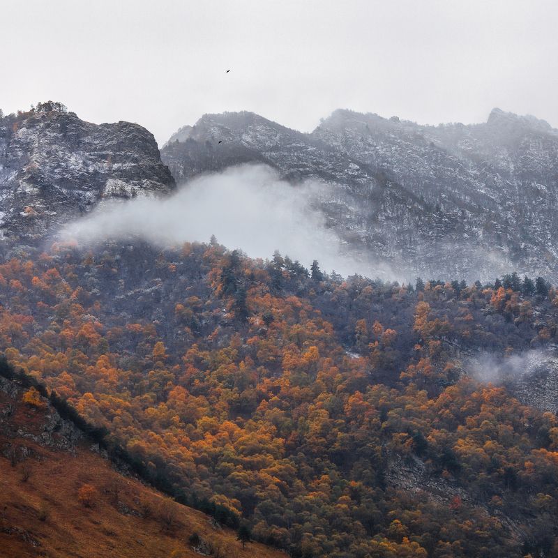 Двоеphoto preview