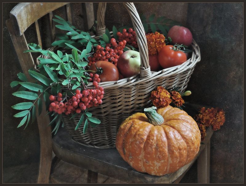 Дары ушедшего летаphoto preview