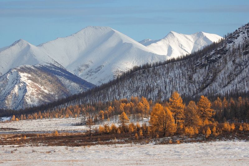 Зима уже рядомphoto preview