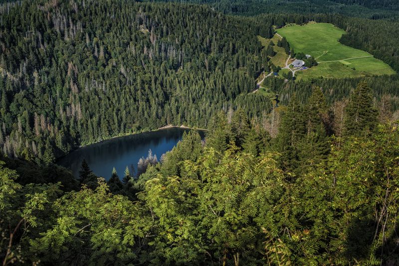 Фельдберг(самая высокая гора Шварцвальда),высота над уровнем моря 1277мphoto preview