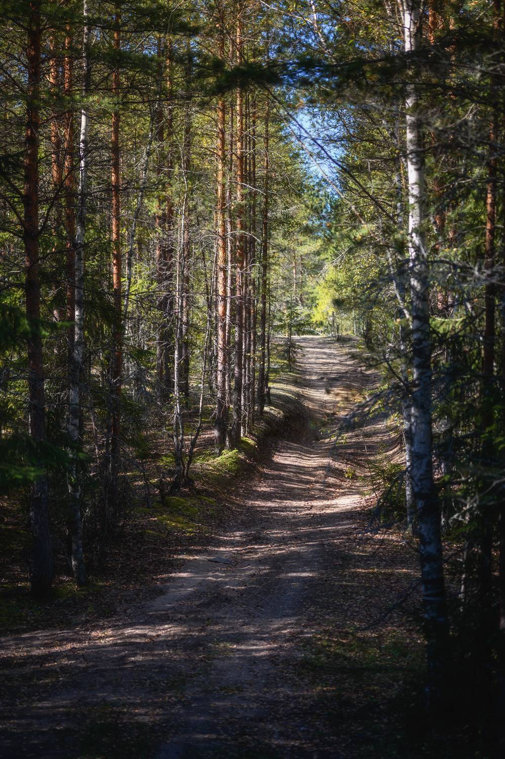 Автор: Нуждин Андрей , Нуждин Андрей