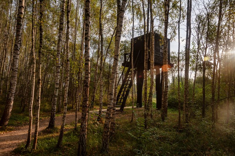 Дом в лесуphoto preview